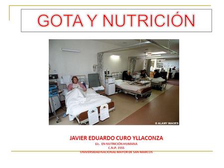 GOTA Y NUTRICIÓN JAVIER EDUARDO CURO YLLACONZA