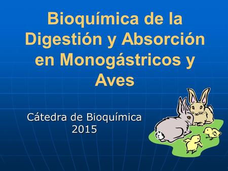 Bioquímica de la Digestión y Absorción en Monogástricos y Aves