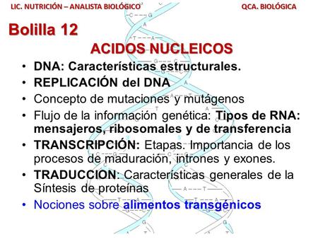 Bolilla 12 ACIDOS NUCLEICOS DNA: Características estructurales.