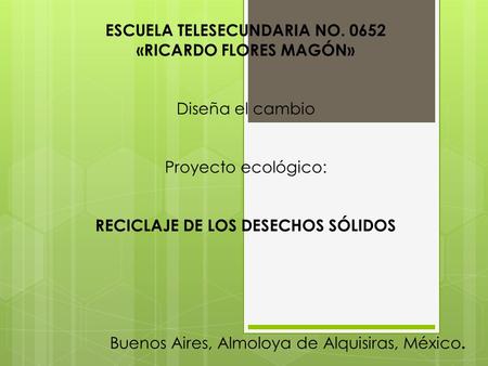 ESCUELA TELESECUNDARIA NO «RICARDO FLORES MAGÓN»