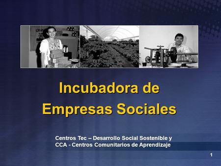1 Incubadora de Empresas Sociales Centros Tec – Desarrollo Social Sostenible y CCA - Centros Comunitarios de Aprendizaje.