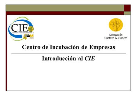 Centro de Incubación de Empresas Introducción al CIE.
