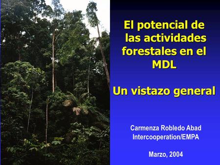 Carmenza Robledo Abad Intercooperation/EMPA Marzo, 2004 El potencial de las actividades forestales en el MDL las actividades forestales en el MDL Un vistazo.