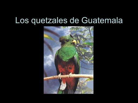 Los quetzales de Guatemala