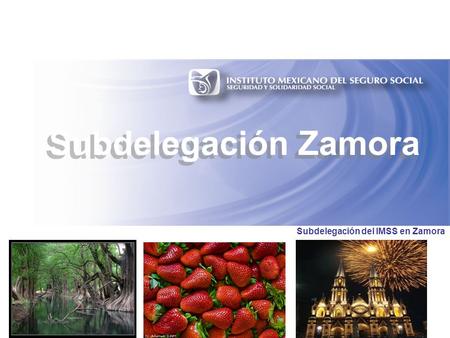 Subdelegación del IMSS en Zamora