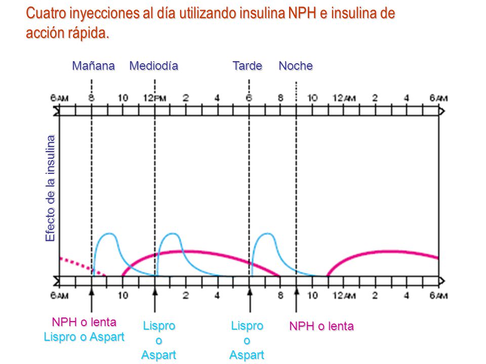 Introducción. Introducción El tratamiento con insulina es Introducción. Introducción El tratamiento con insulina es