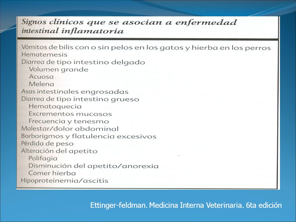 TRATADO DE MEDICINA INTERNA VETERINARIA 2 VOLS