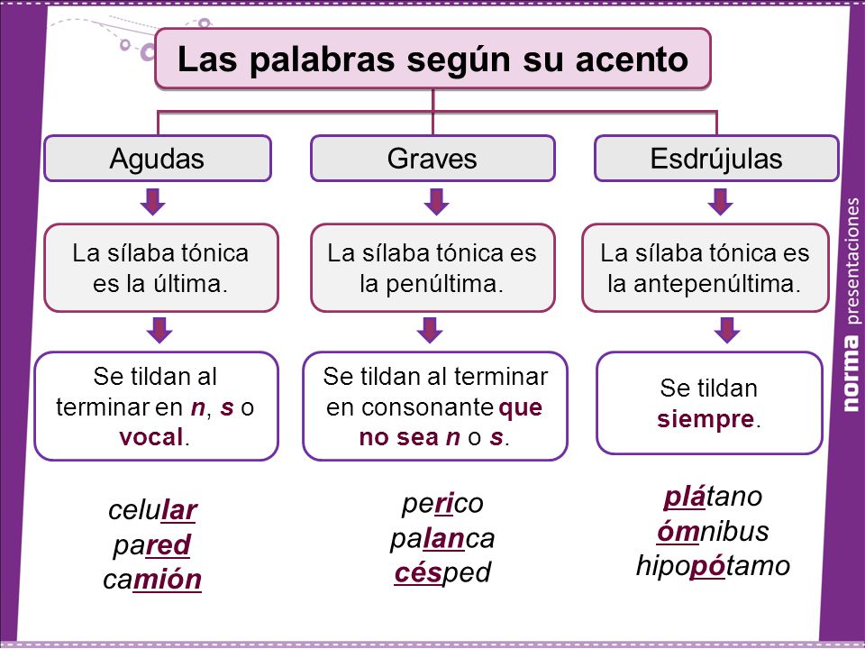 Resultado de imagen para palabras segun el acento