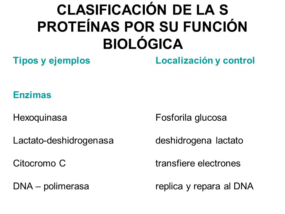 ESTRUCTURA Y FUNCIÓN DE LAS PROTEÍNAS - ppt video online ESTRUCTURA Y FUNCIÓN DE LAS PROTEÍNAS - ppt video online