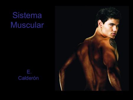 Sistema Muscular E. Calderón. El Sistema Muscular 1. Es el responsable de cada movimiento del cuerpo, desde parpadear y sonreír. 2.Regula la presión sanguínea.