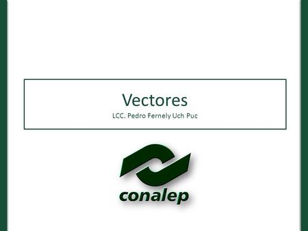 Vectores LCC. Pedro Fernely Uch Puc