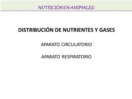 NUTRICIÓN EN ANIMALES: DISTRIBUCIÓN DE NUTRIENTES Y GASES