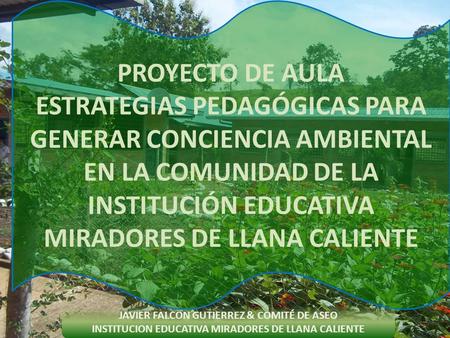 PROYECTO DE AULA ESTRATEGIAS PEDAGÓGICAS PARA GENERAR CONCIENCIA AMBIENTAL EN LA COMUNIDAD DE LA INSTITUCIÓN EDUCATIVA MIRADORES DE LLANA CALIENTE JAVIER.