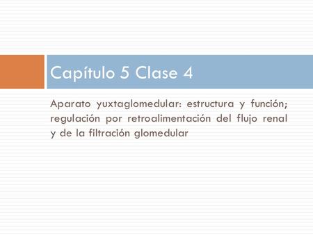 Capítulo 5 Clase 4 Aparato yuxtaglomedular: estructura y función; regulación por retroalimentación del flujo renal y de la filtración glomedular.