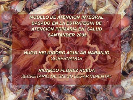 DEPARTAMENTO DE SANTANDER MODELO DE ATENCION PRIMARIA MODELO DE ATENCION INTEGRAL BASADO EN LA ESTRATEGIA DE ATENCION PRIMARIA EN SALUD SANTANDER 2005.