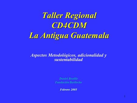 1 Taller Regional CD4CDM La Antigua Guatemala Aspectos Metodológicos, adicionalidad y sustentabilidad Daniel Bouille Fundación Bariloche Febrero 2005.