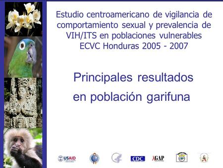 Estudio centroamericano de vigilancia de comportamiento sexual y prevalencia de VIH/ITS en poblaciones vulnerables ECVC Honduras 2005 - 2007 Principales.