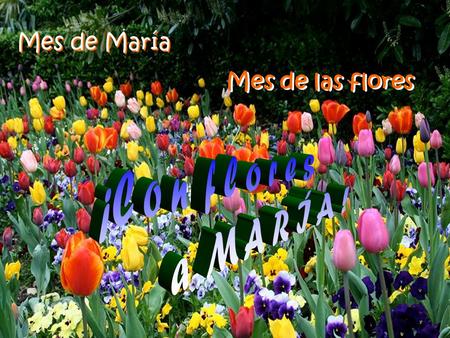 Mes de María Mes de las flores ¡C o n f l o r e s a M A R Í A !