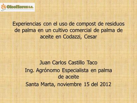 Juan Carlos Castillo Taco