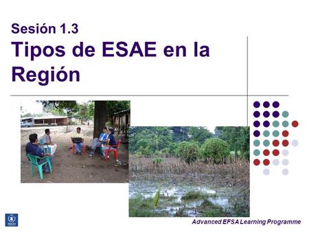 Advanced EFSA Learning Programme Sesión 1.3 Tipos de ESAE en la Región.