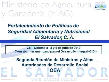 Cali, Colombia - 8 y 9 de julio de 2010 Consejo Interamericano para el Desarrollo Integral -CIDI- Fortalecimiento de Políticas de Seguridad Alimentaria.