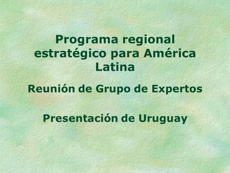 Programa regional estratégico para América Latina Reunión de Grupo de Expertos Presentación de Uruguay.