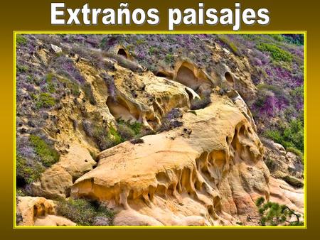 Arizona, USA – La Ola (formación impresionante de roca de arenisca con una antigüedad de unos 190 millones de años. Parece irreal)