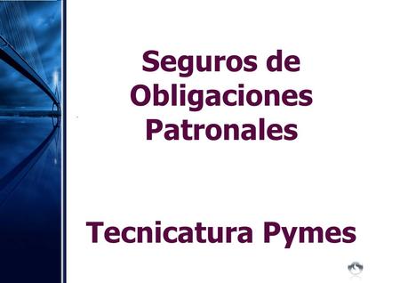 Seguros de Obligaciones Patronales Tecnicatura Pymes.