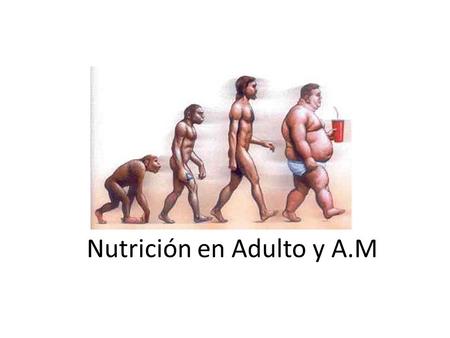 Nutrición en Adulto y A.M