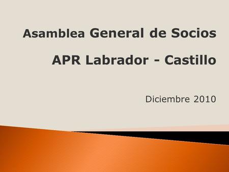 Asamblea General de Socios APR Labrador - Castillo Diciembre 2010.