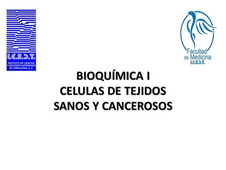 BIOQUÍMICA I CELULAS DE TEJIDOS SANOS Y CANCEROSOS.