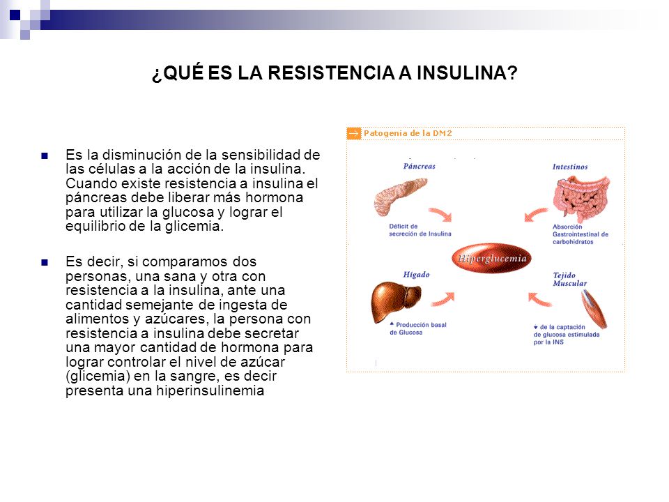 RESISTENCIA A LA INSULINA - ppt descargar RESISTENCIA A LA INSULINA - ppt descargar