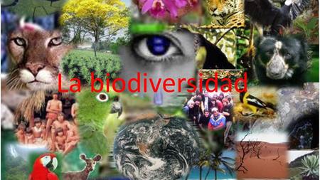 La biodiversidad.