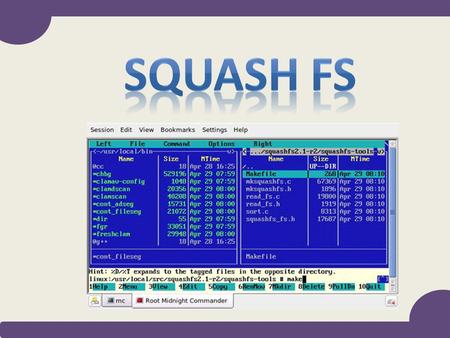 Squash FS.