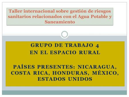GRUPO DE TRABAJO 4 EN EL ESPACIO RURAL PAÍSES PRESENTES: NICARAGUA, COSTA RICA, HONDURAS, MÉXICO, ESTADOS UNIDOS Taller internacional sobre gestión de.