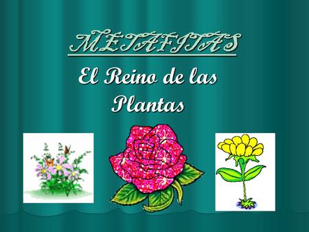 METAFITAS El Reino de las Plantas.