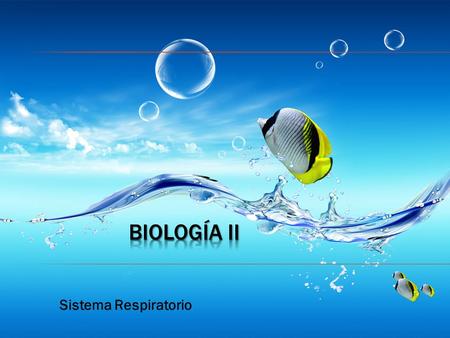 Biología II Sistema Respiratorio.