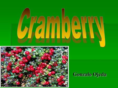 Cramberry Gonzalo Ojeda.