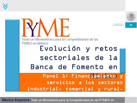 Evolución y retos sectoriales de la Banca de Fomento en México