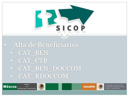 Alta de Beneficiarios CAT_BEN CAT_CTB CAT_BEN_DOCCOM CAT_RDOCCOM.