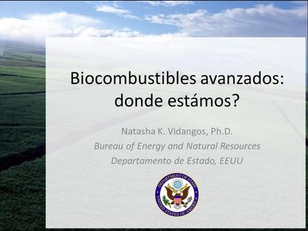 Biocombustibles avanzados: donde estámos?