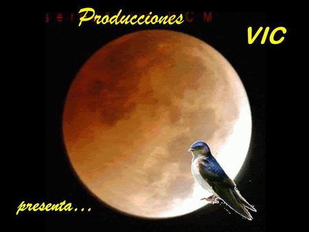 Producciones VIC presenta….