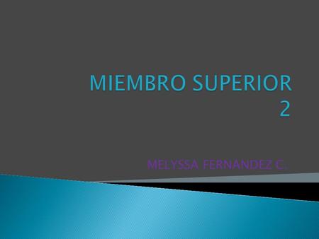 MIEMBRO SUPERIOR 2 MELYSSA FERNANDEZ C..