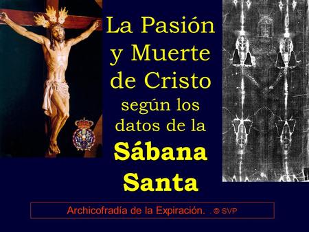 La Pasión y Muerte de Cristo según los datos de la Sábana Santa