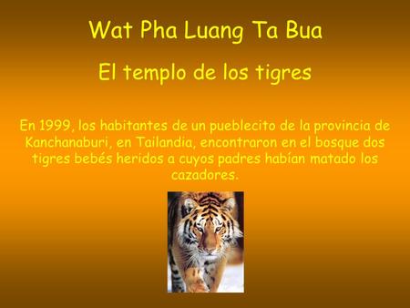 Wat Pha Luang Ta Bua El templo de los tigres