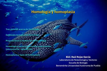 Homología y homoplasia