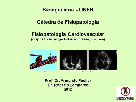 Bioingeniería - UNER Cátedra de Fisiopatología Fisiopatología Cardiovascular (diapositivas proyectadas en clases, 1ra parte) Prof. Dr. Armando.