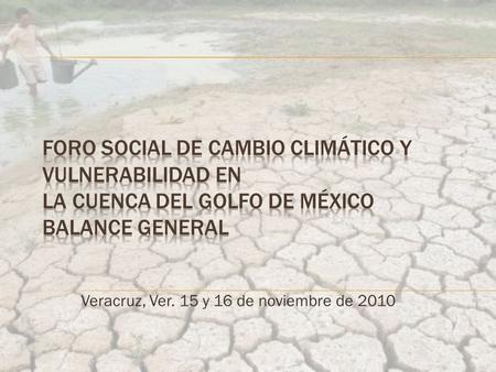 Veracruz, Ver. 15 y 16 de noviembre de 2010. El Foro Social se propuso que los diversos grupos sociales encontraran un espacio para manifestarse sobre.