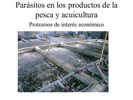 Las lombrices al gato que curar por los medios públicos