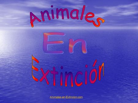 Animales En Extinción Animales-en-Extincion.com.